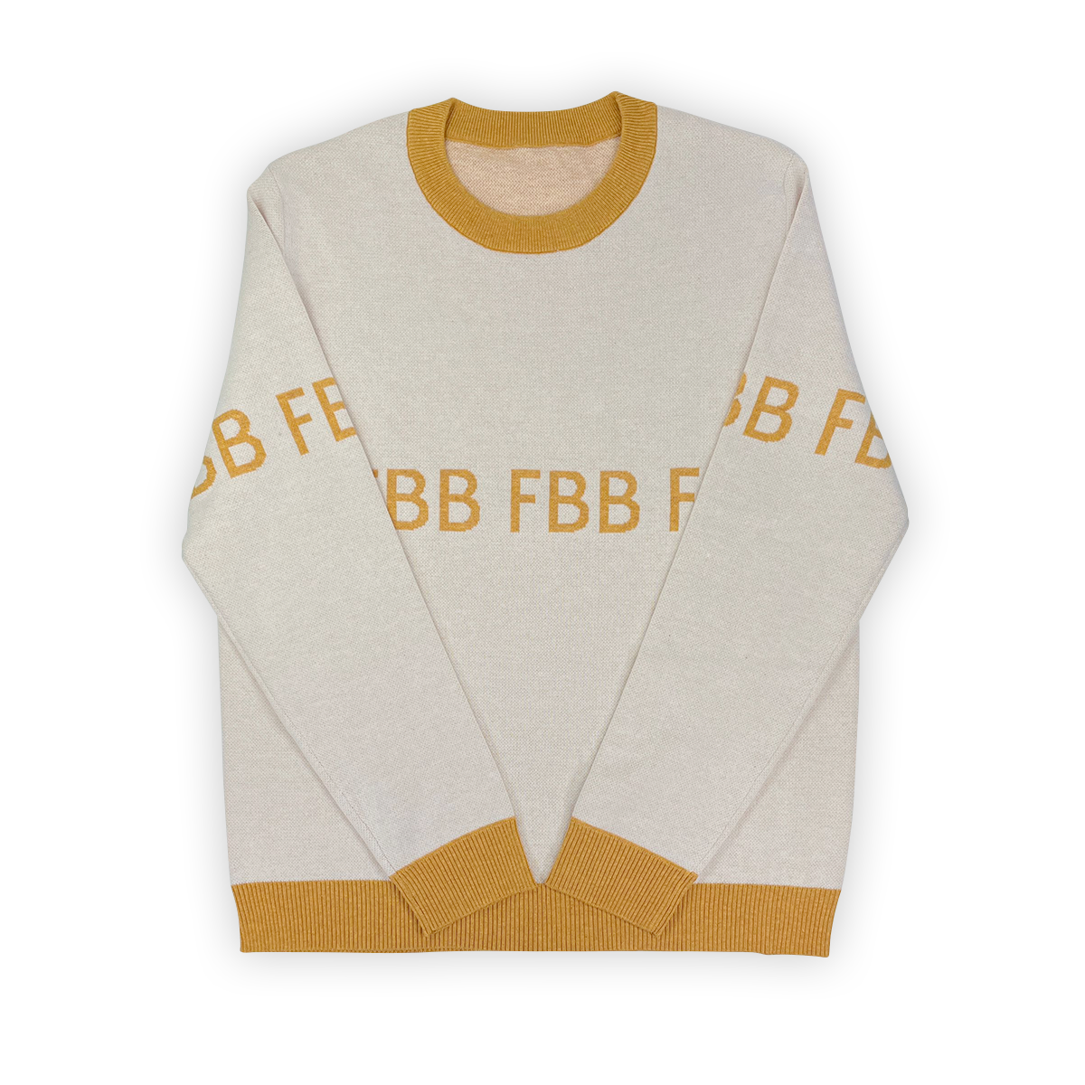 Front view FBB Knitted Sweater